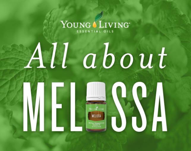 All About Melissa Essential Oil