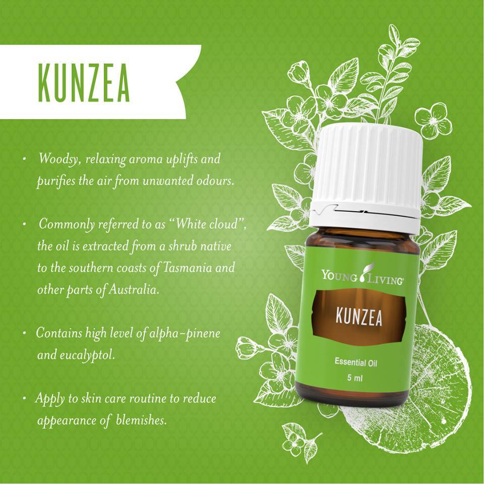 Kunzea - Australian essential Oil