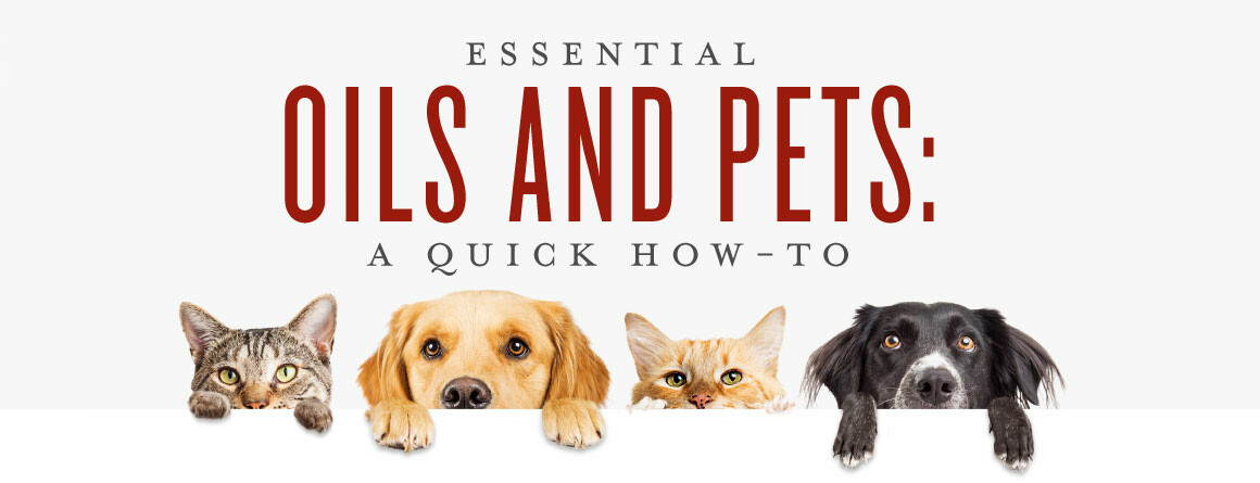 Pets and Essential Oils
