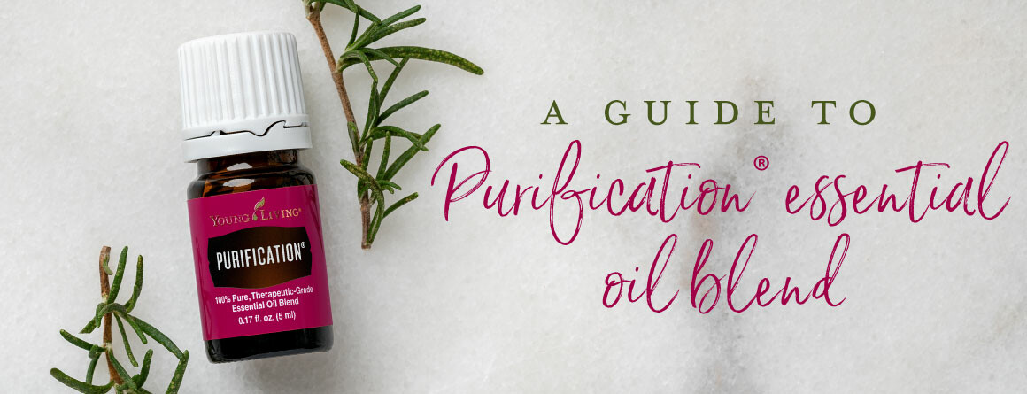 How do you use Purification?