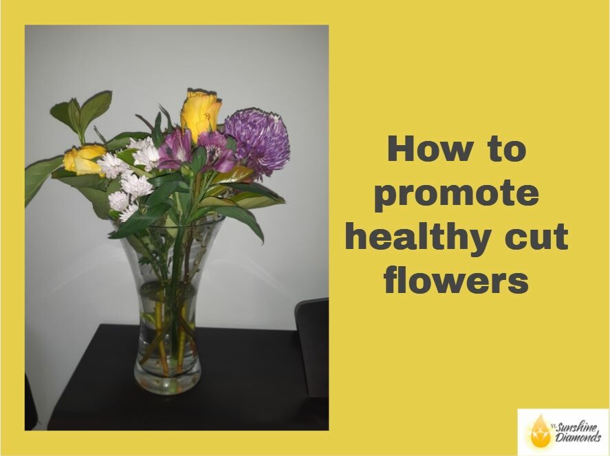 How to help cut flowers last longer