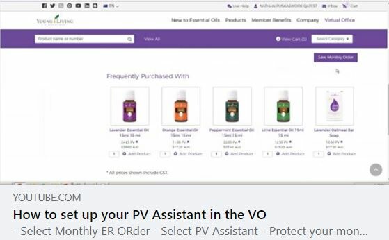 What is PV Assistant?
