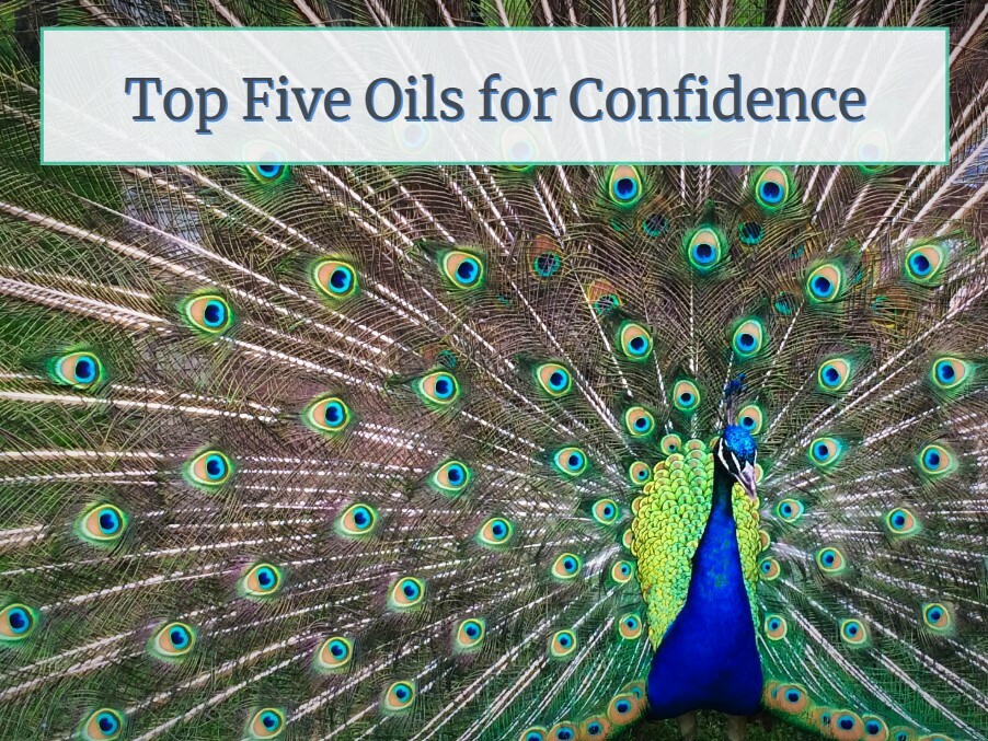 TOP FIVE ESSENTIAL OILS FOR A CONFIDENCE (EG. JOB INTERVIEW OR PUBLIC SPEAKING)