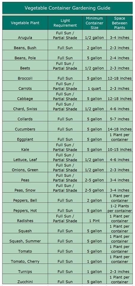 Year Round Gardening in Containers