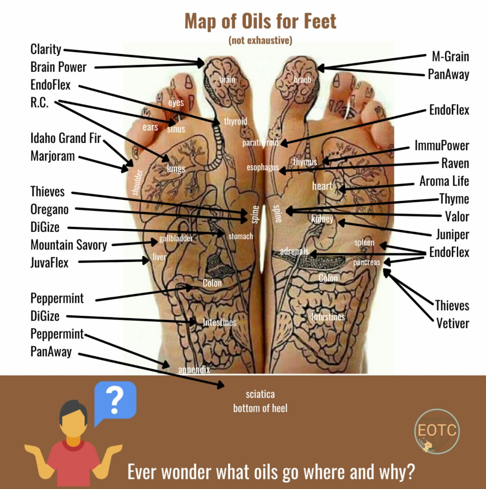 Ever wonder why and where we put oils on the feet?