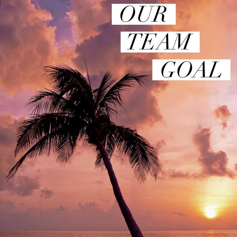 Our Team Goal