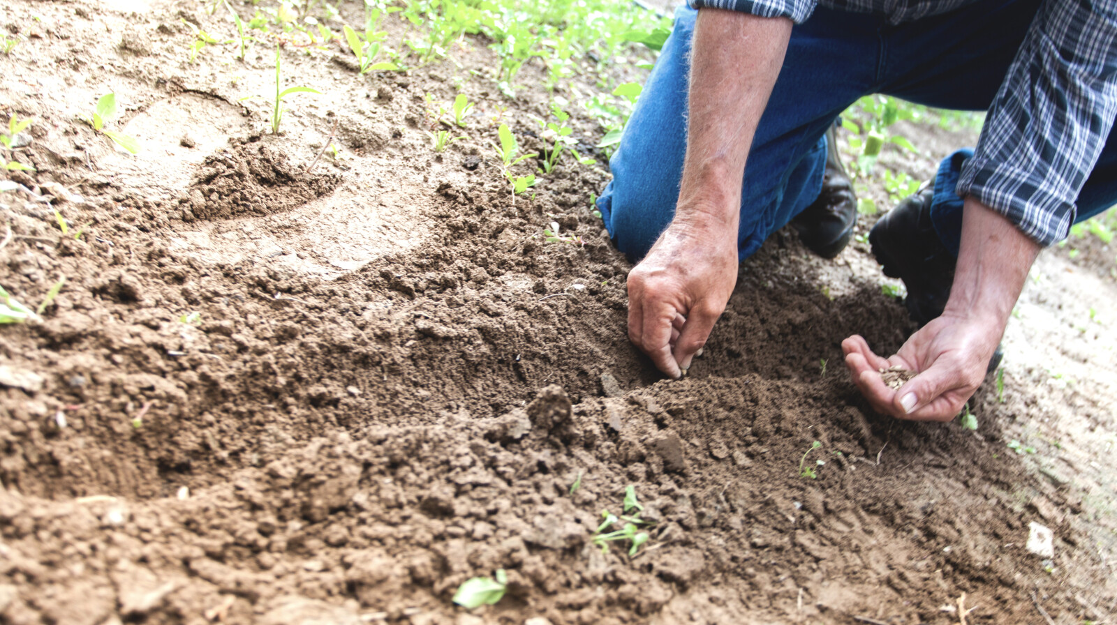 Why you want to put your hands in the dirt