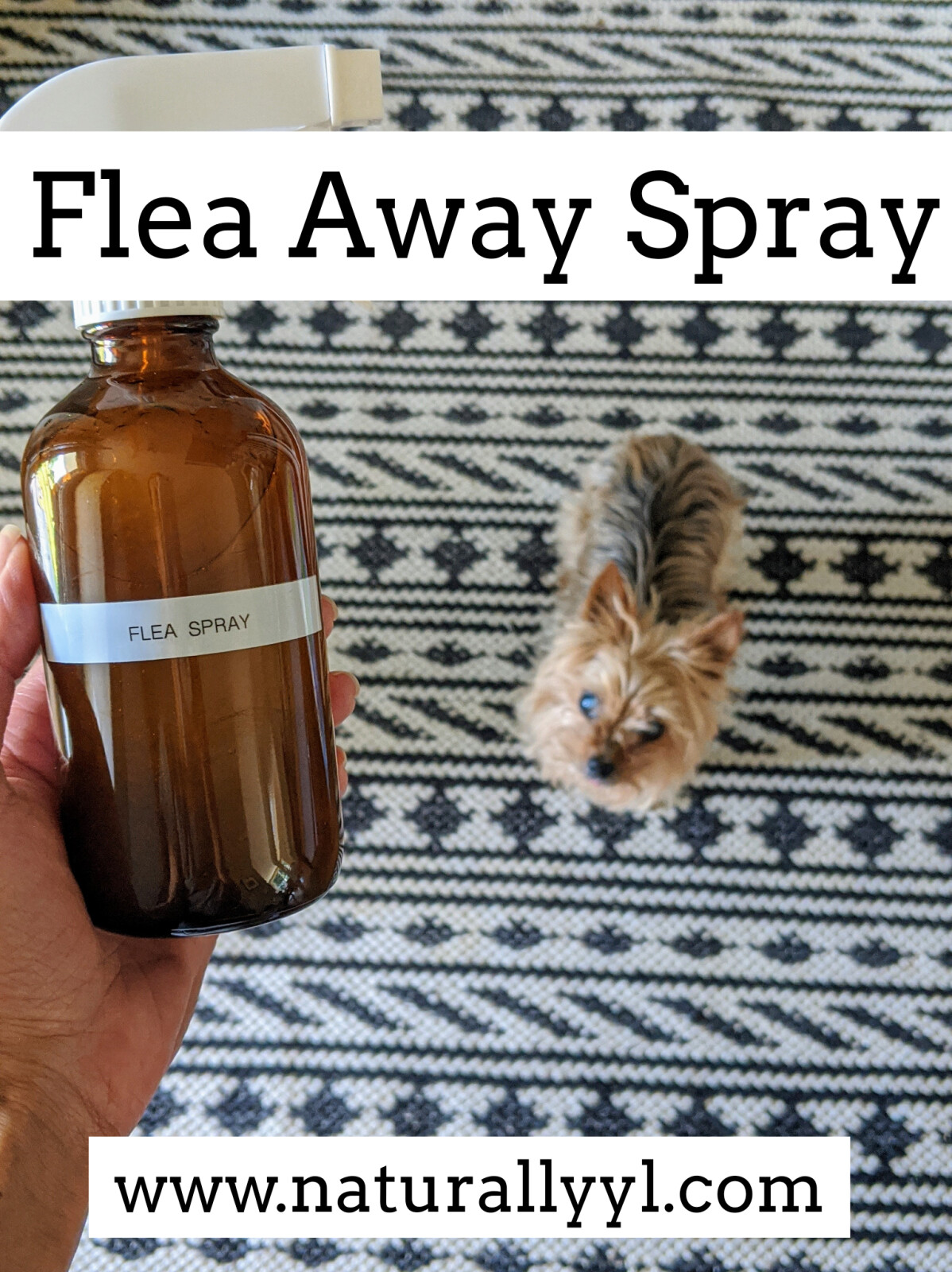 Flea Away Spray