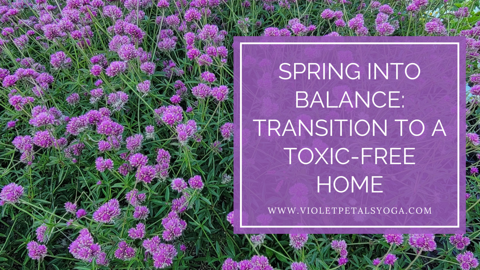 Spring Into Balance: Transition to a Toxin-Free Home