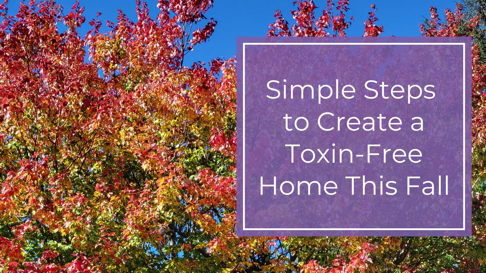 Simple Steps to Create a Toxin-Free Home This Fall