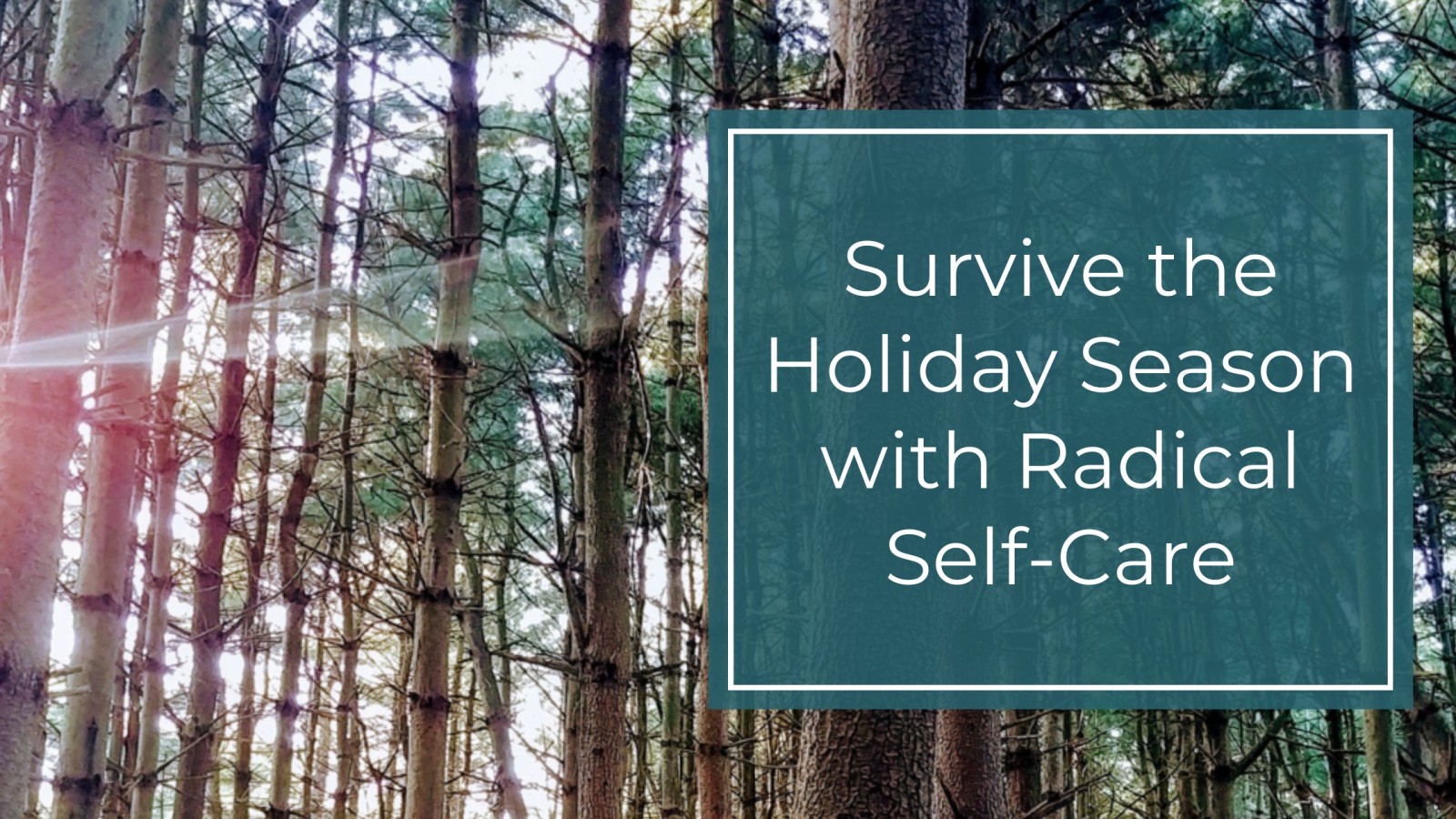 Survive the Holiday Season with Radical Self Care