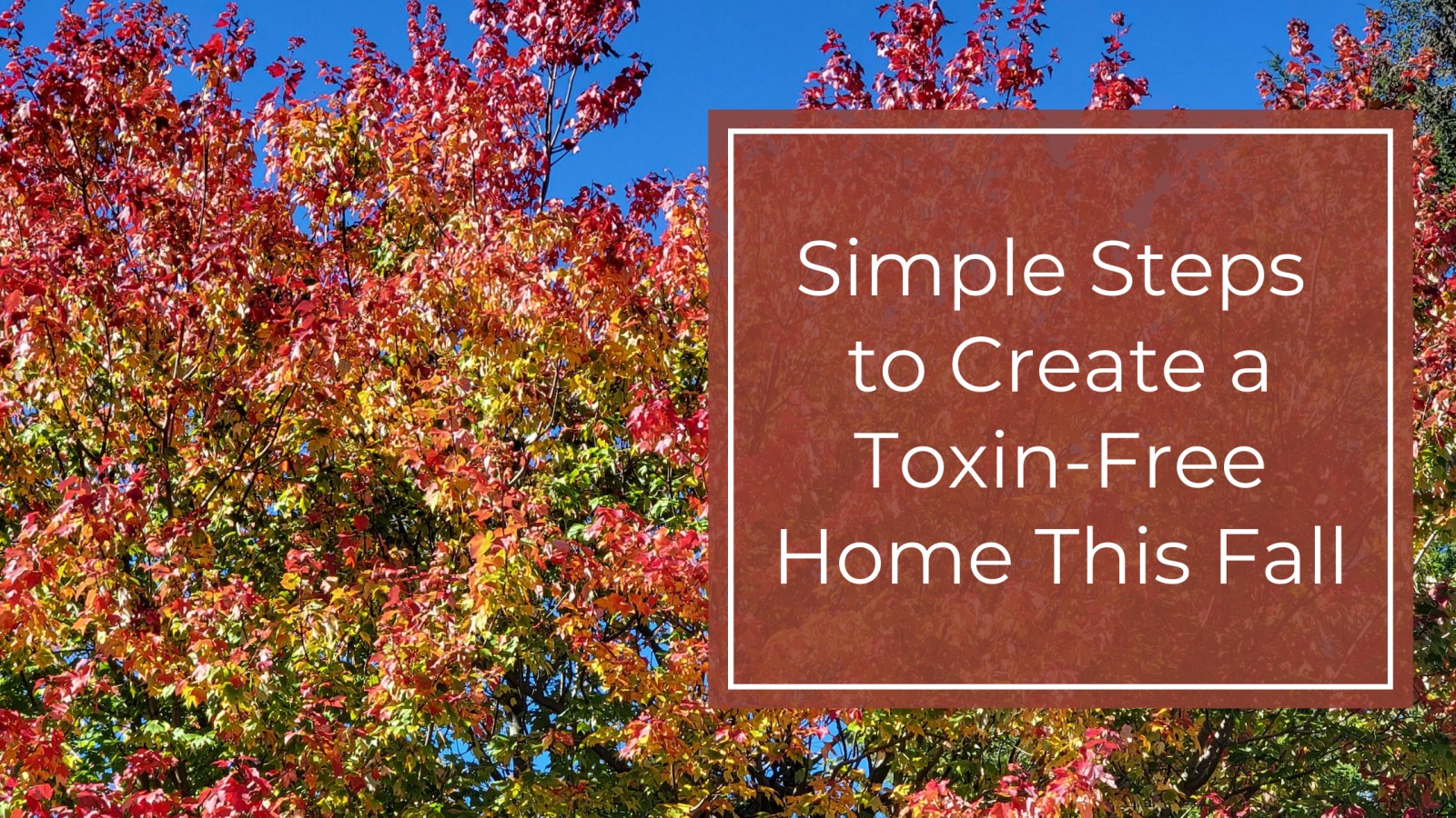 Simple Steps to Create a Toxin-Free Home This Fall
