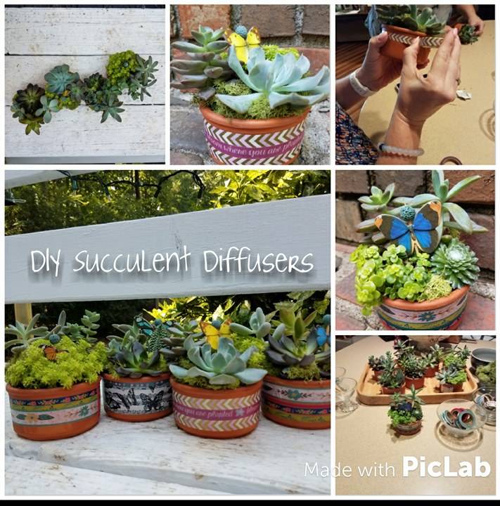 DIY Succulent Diffusers