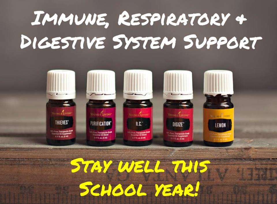 Back to School: Immune System Support