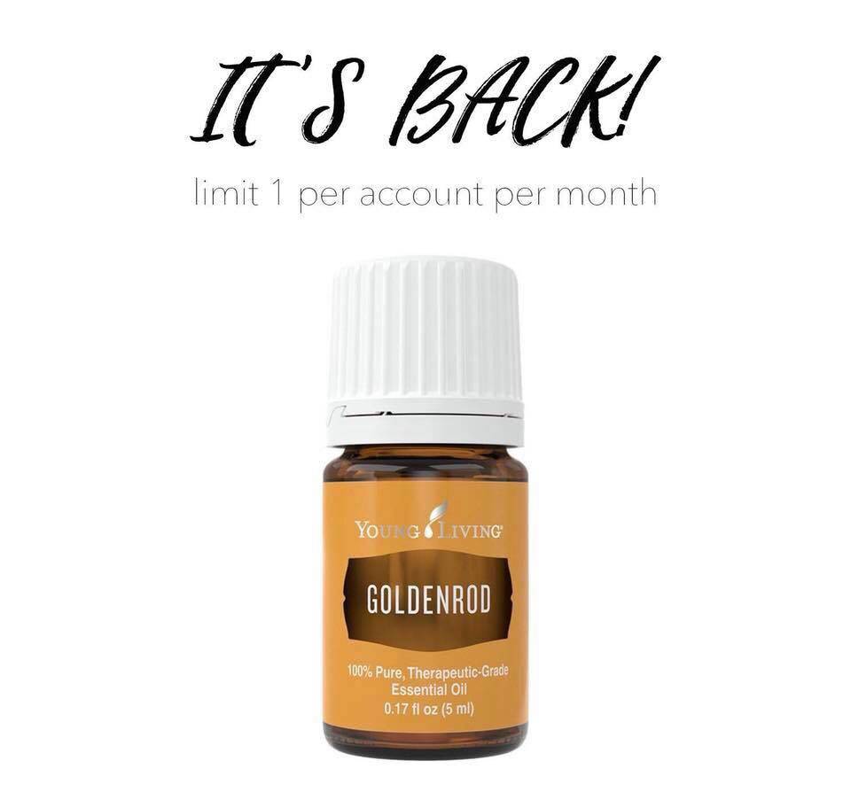 Goldenrod - It's BAAAACK!!!!