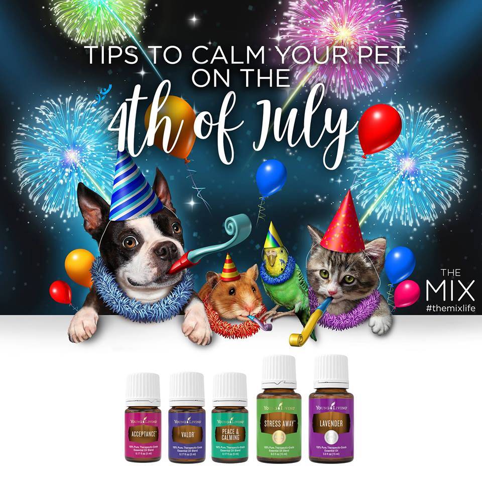 Keeping Our Furbabies Calm and Safe on the 4th