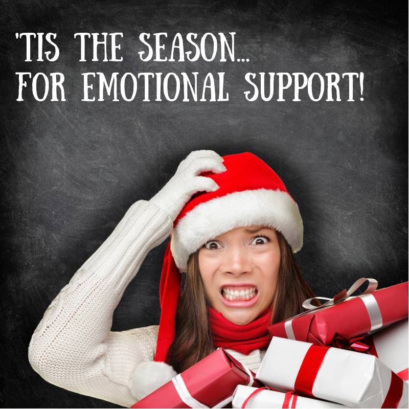 A Few of My Favorite Things: Holiday Emotional Support