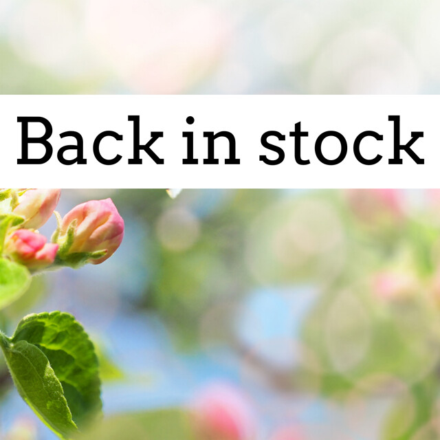 Major Back In Stock + Specials Announcement!