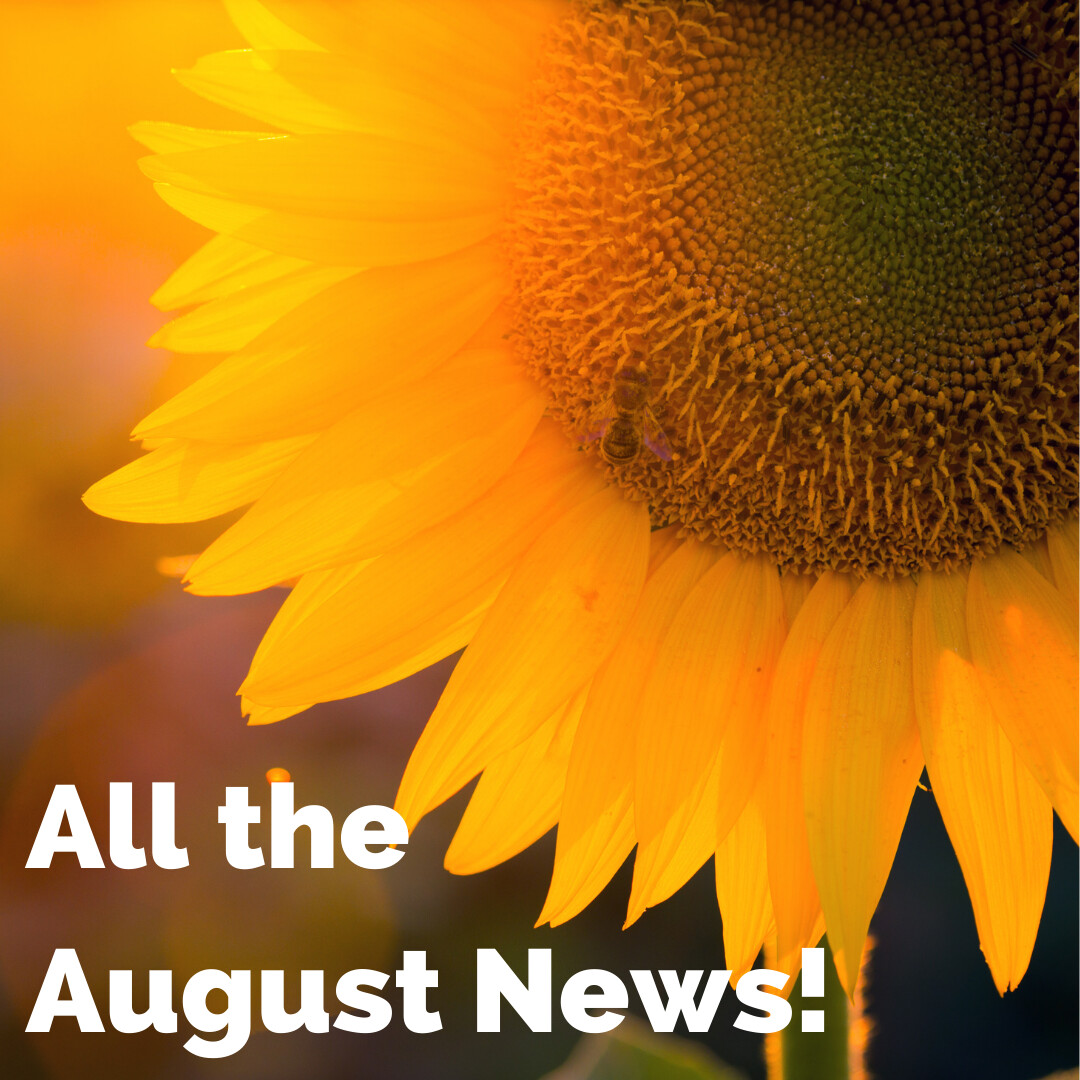 All the August News!