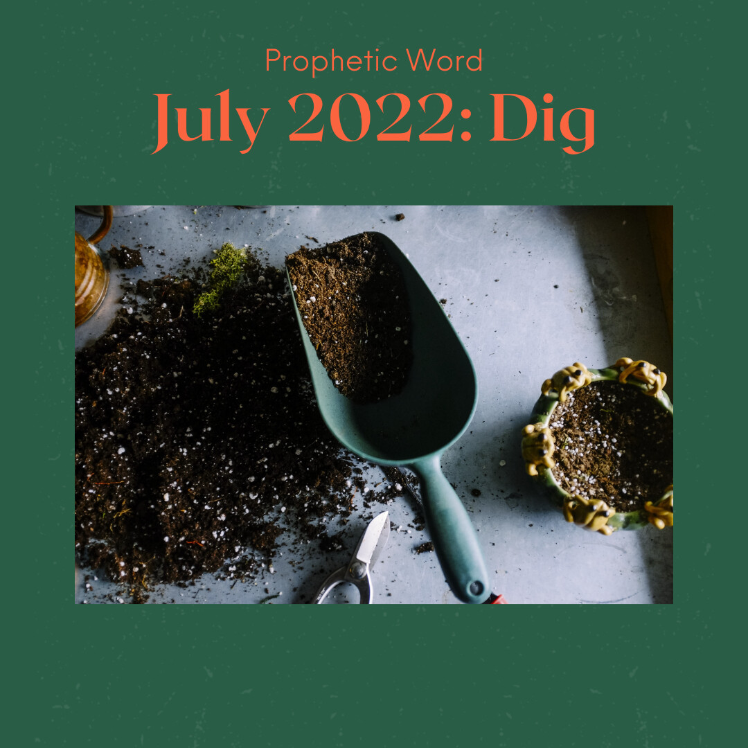 Prophetic Word for July 2022: DIG