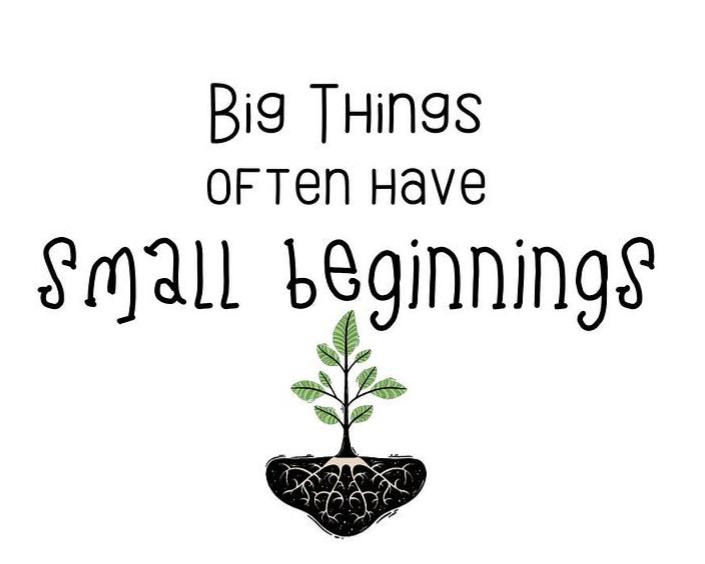 Embrace Small Beginnings