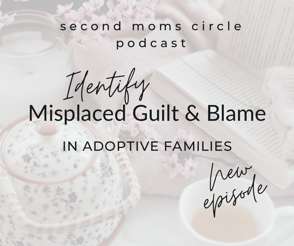 Identify Misplaced Guilt & Blame