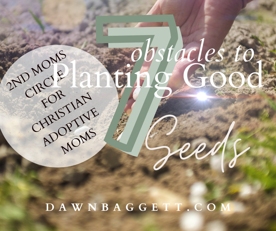 7 Obstacles to Planting Good Seeds in Your Adoptive Family
