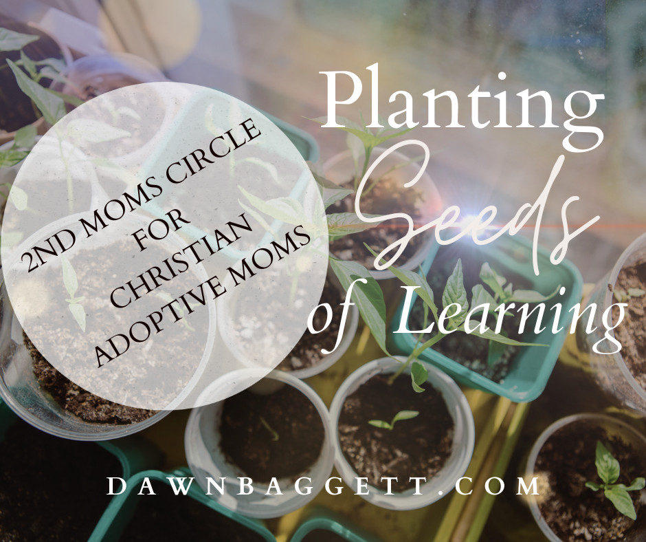 Nurturing Connections: Planting Seeds of Learning for Adoptive Moms