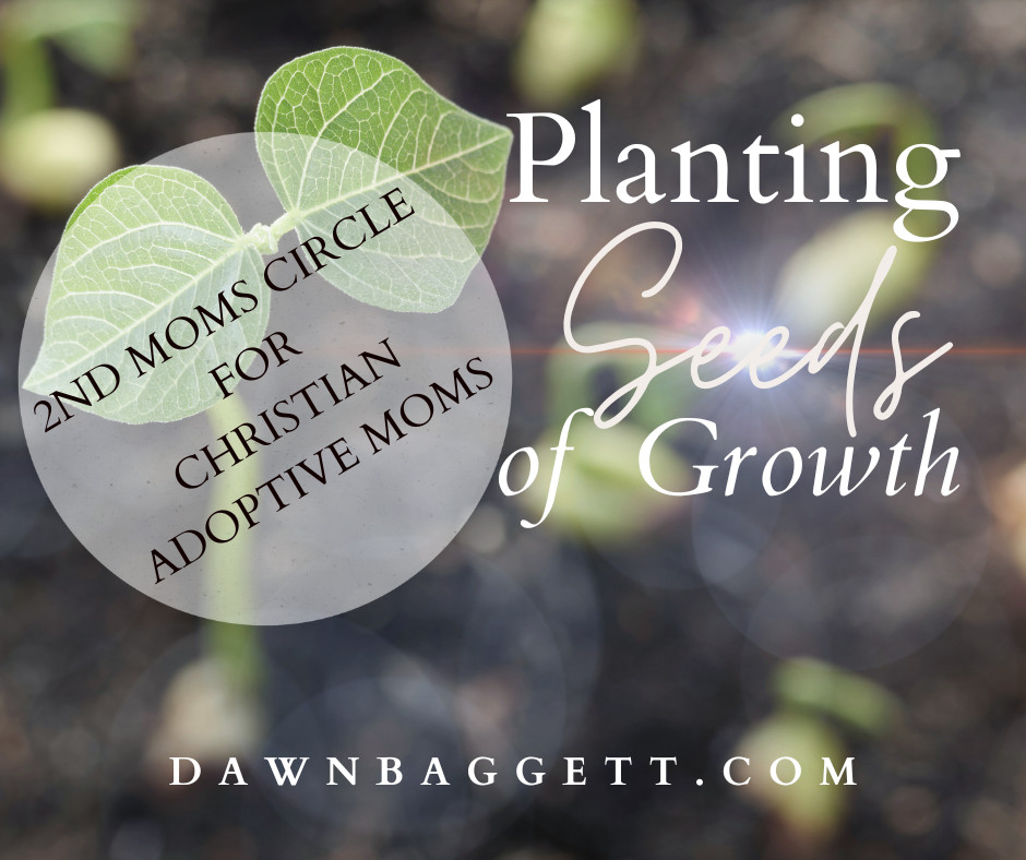 Planting Seeds of Growth in Your Adoptive Family