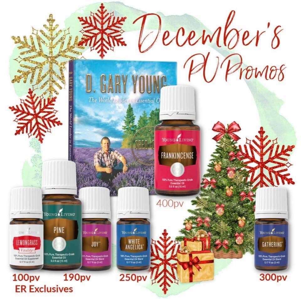 DECEMBER PROMOs