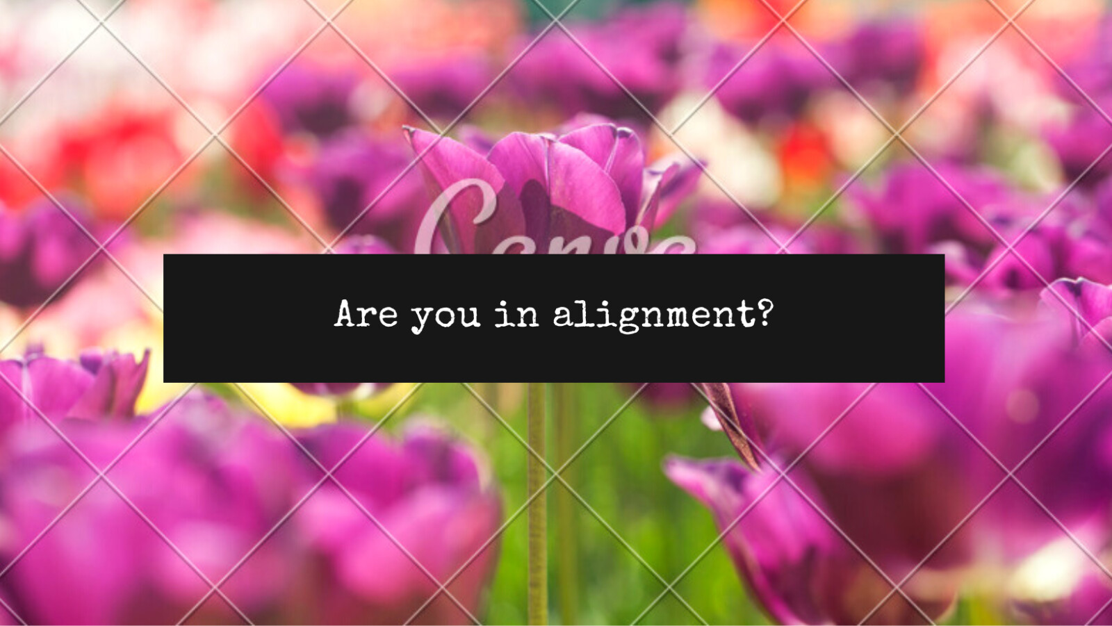 Are you in alignment?