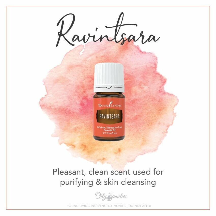 Refresh With Ravintsara Essential Oil - A Hidden Gem In Your Oil Drawer!  