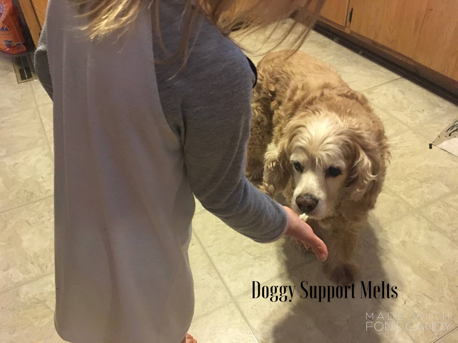 Doggy support melts