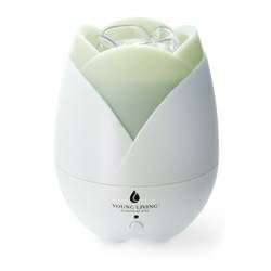 Diffusing Essential Oils 