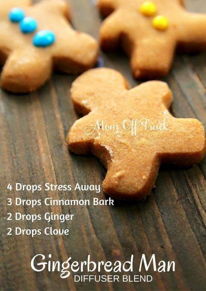 Gingerbread Diffuser blend