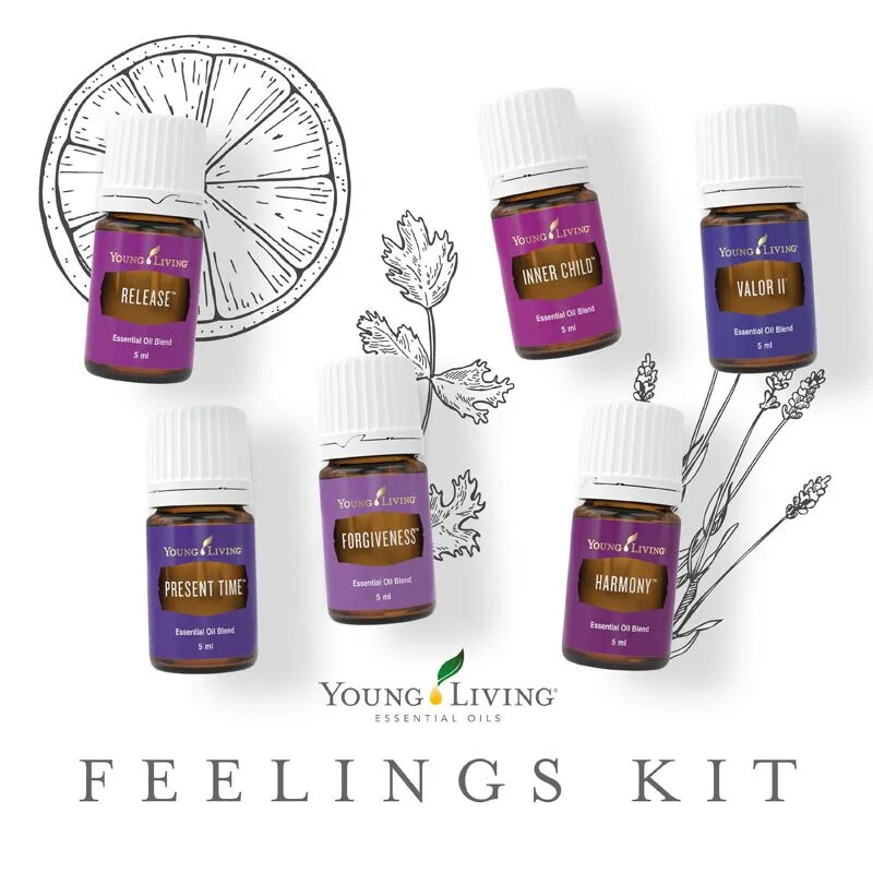 The Feelings kit - Valor & Harmony (Part 1)