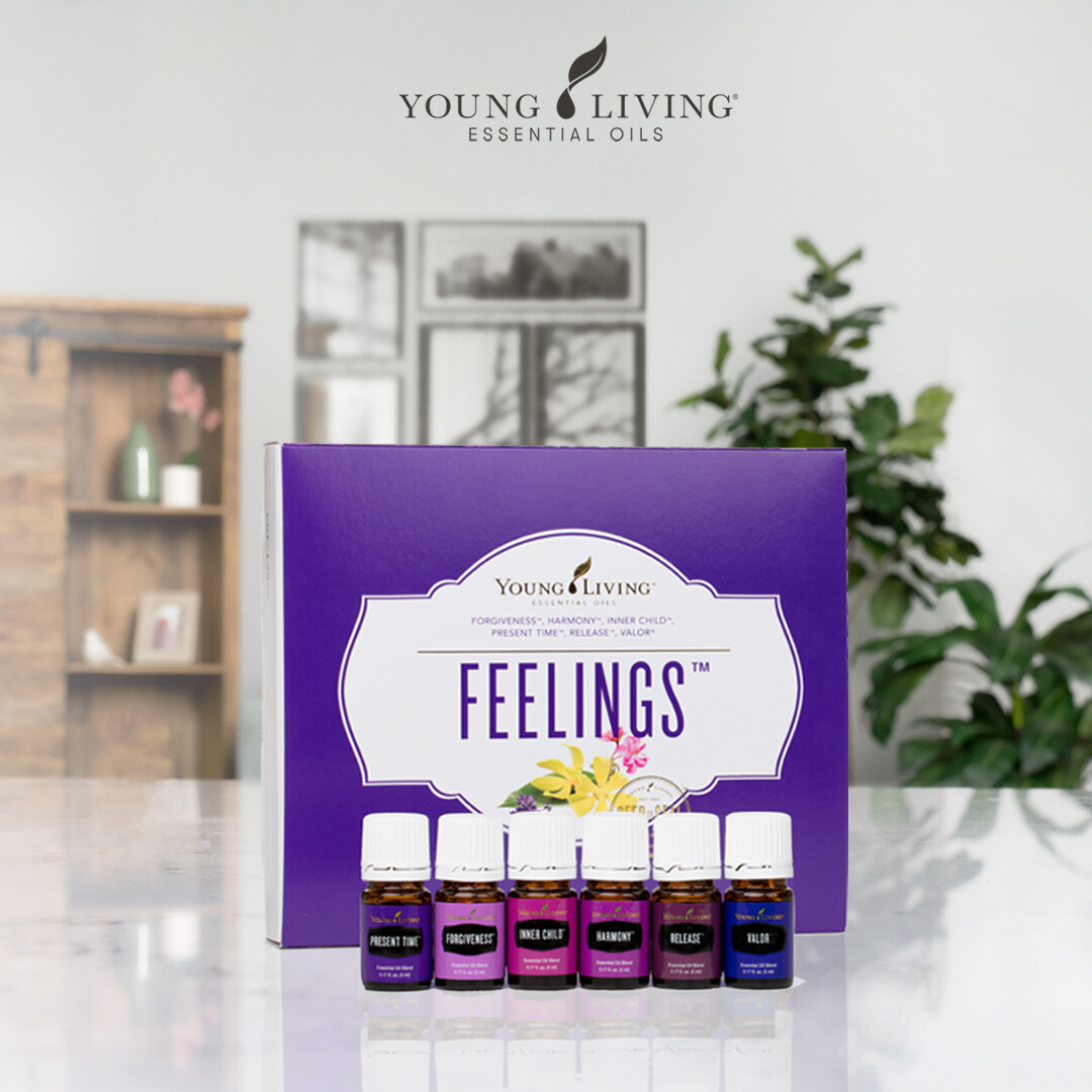 Feelings kit (Part 3 Release & Present Time)