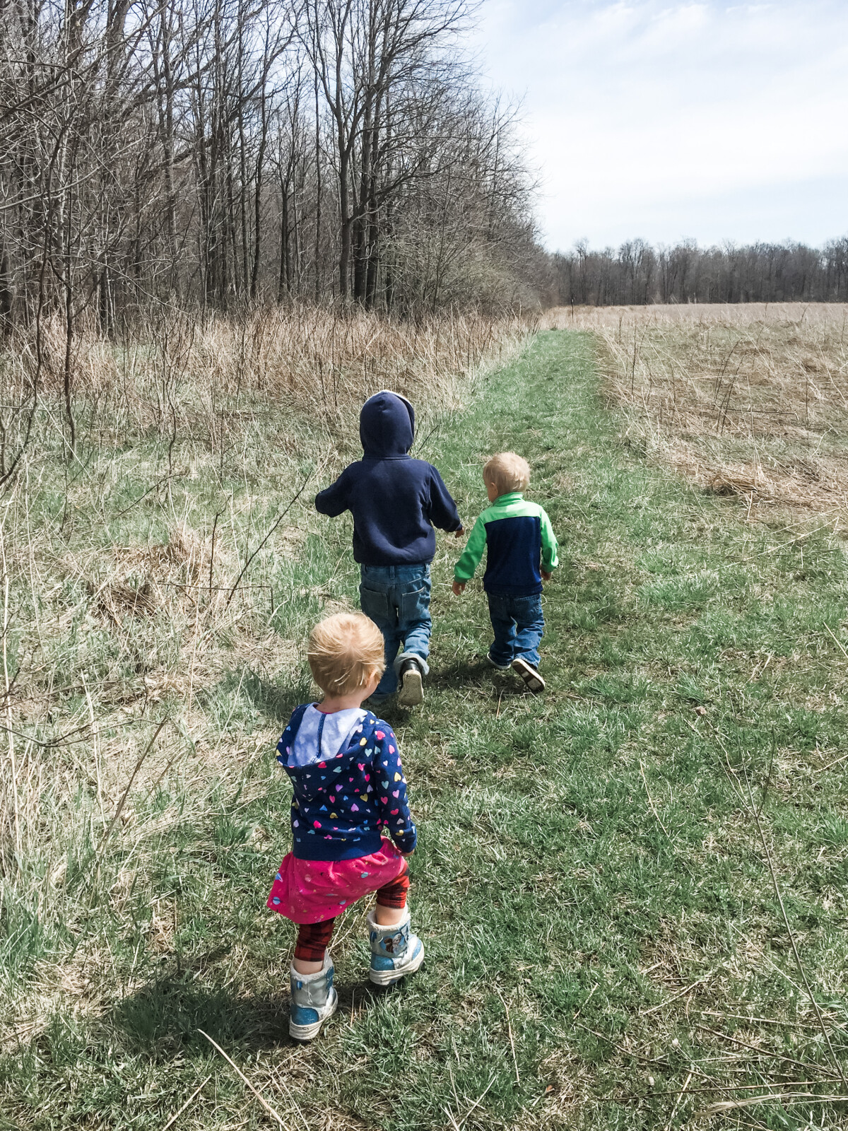 Wildflower hiking at Bock Nature Preserve