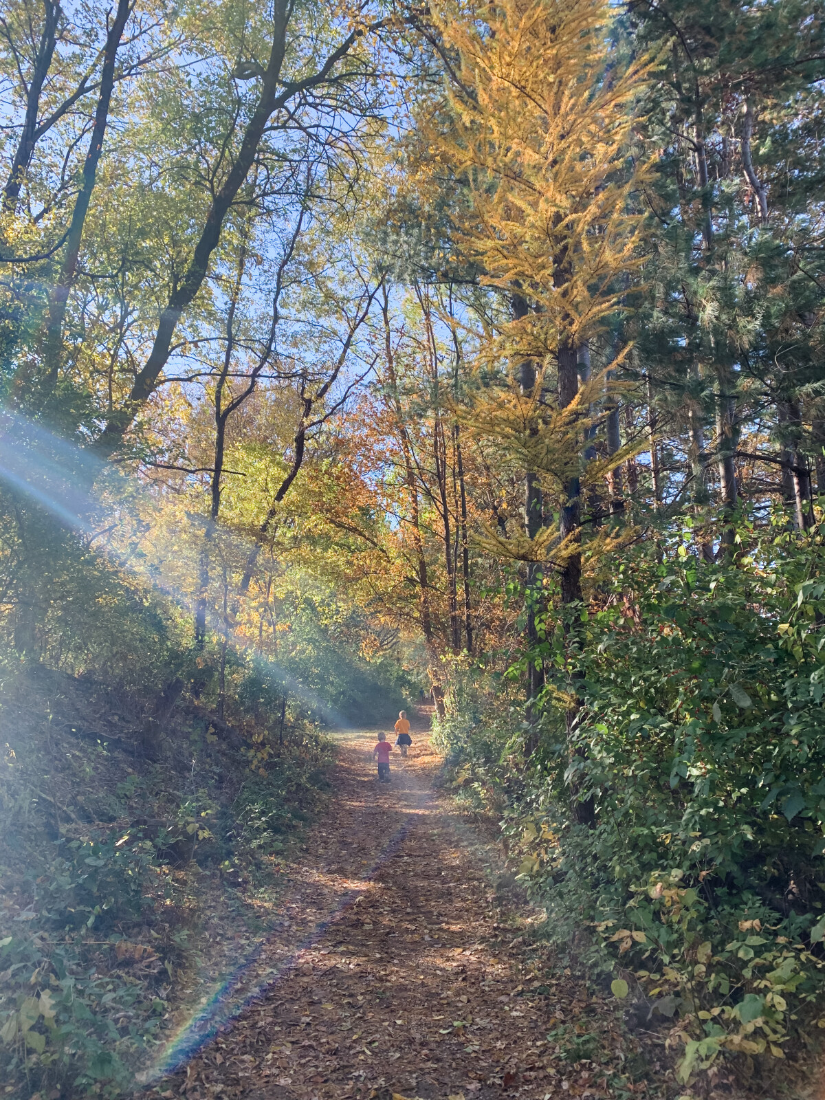 Stress relief tips from the woods 🍂