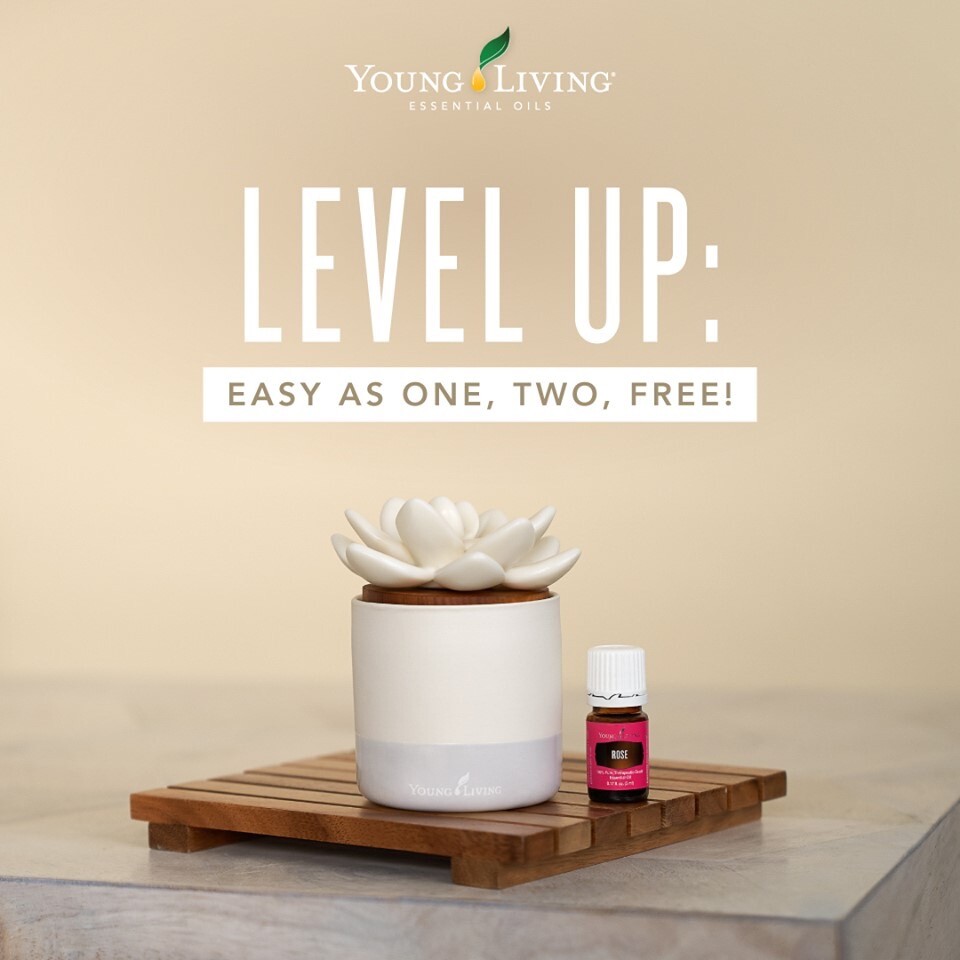 Exclusive Diffusers, Rose Oil - all free! Here’s how you get yours.