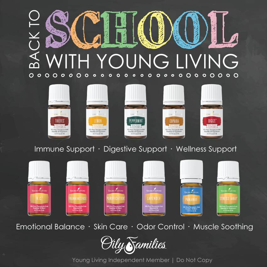 YL August Newsletter-Calm before the School storm starts?  Better sleep oils?  Focus blend?