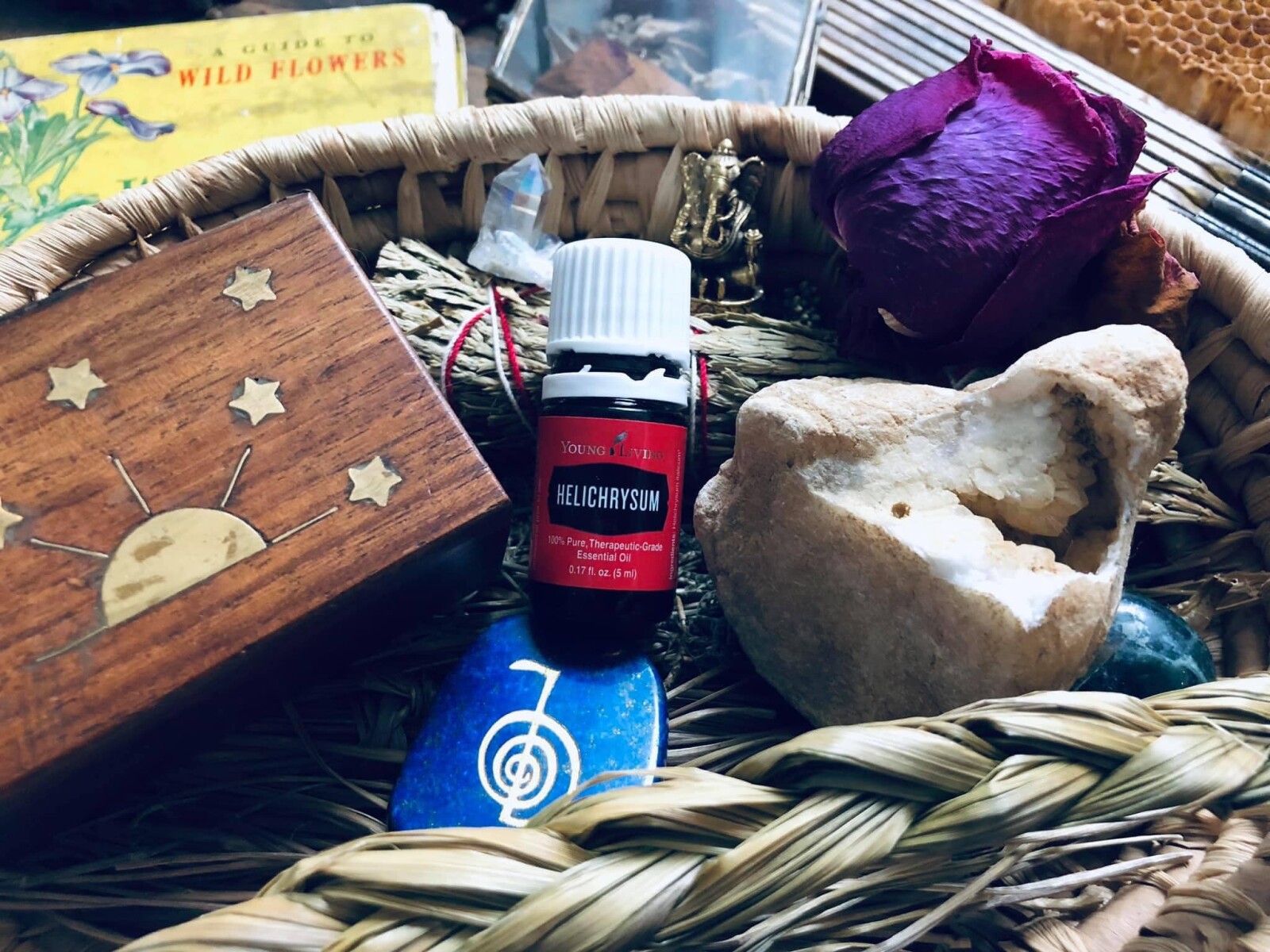  YL  Starter Kit available for existing members, Nerve and tissue support, DIY Soft Scrub
