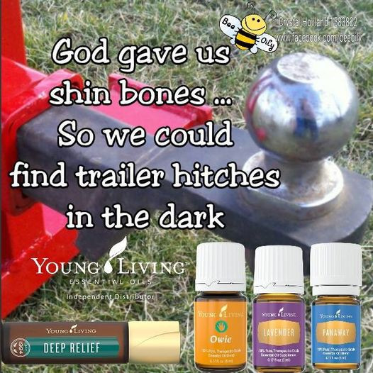New AromaConnect diffuser giveaway!  The best oils to use on kids and how to have healthy lungs! 