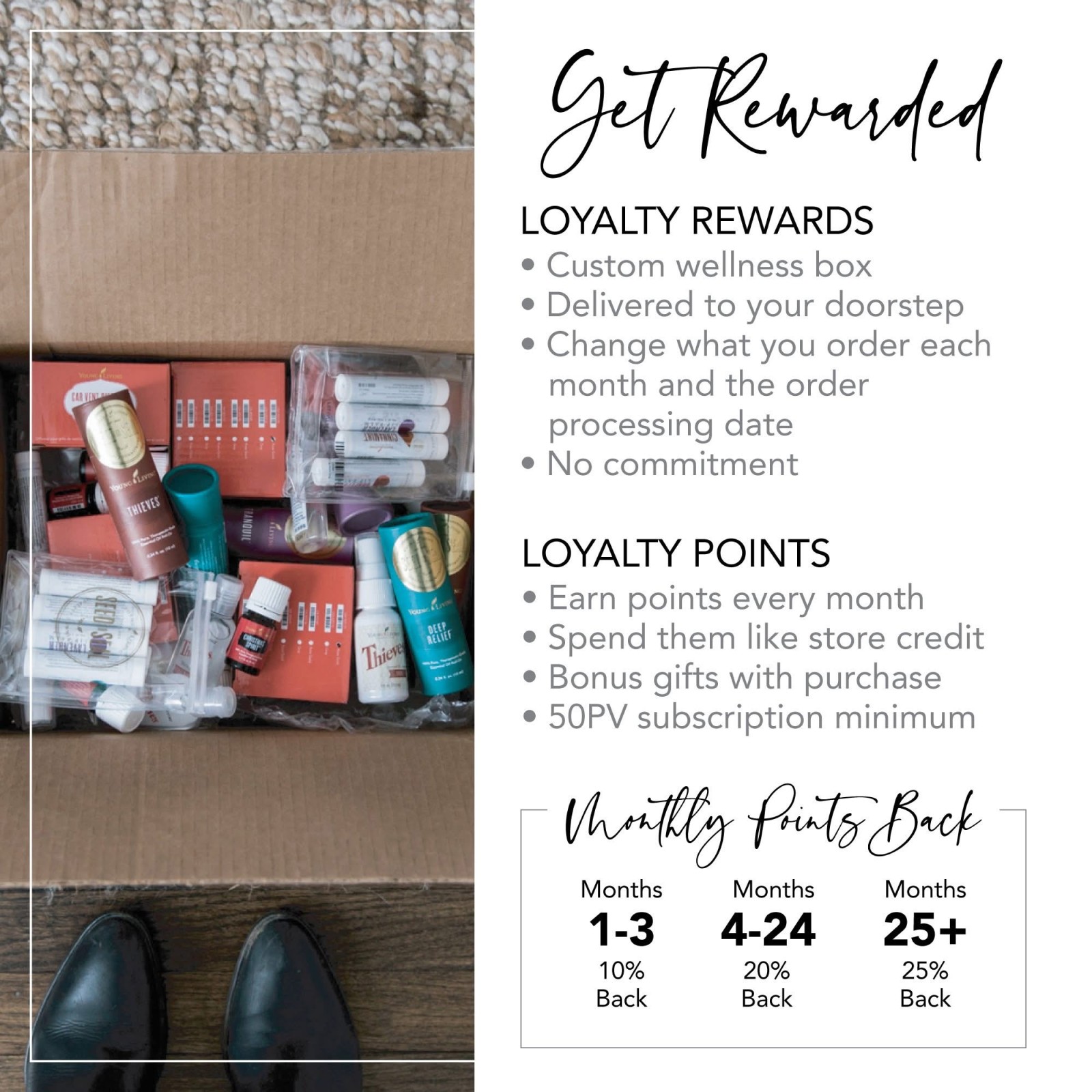 Young Living gut health, Christmas Spirit and Seed to Seal! 