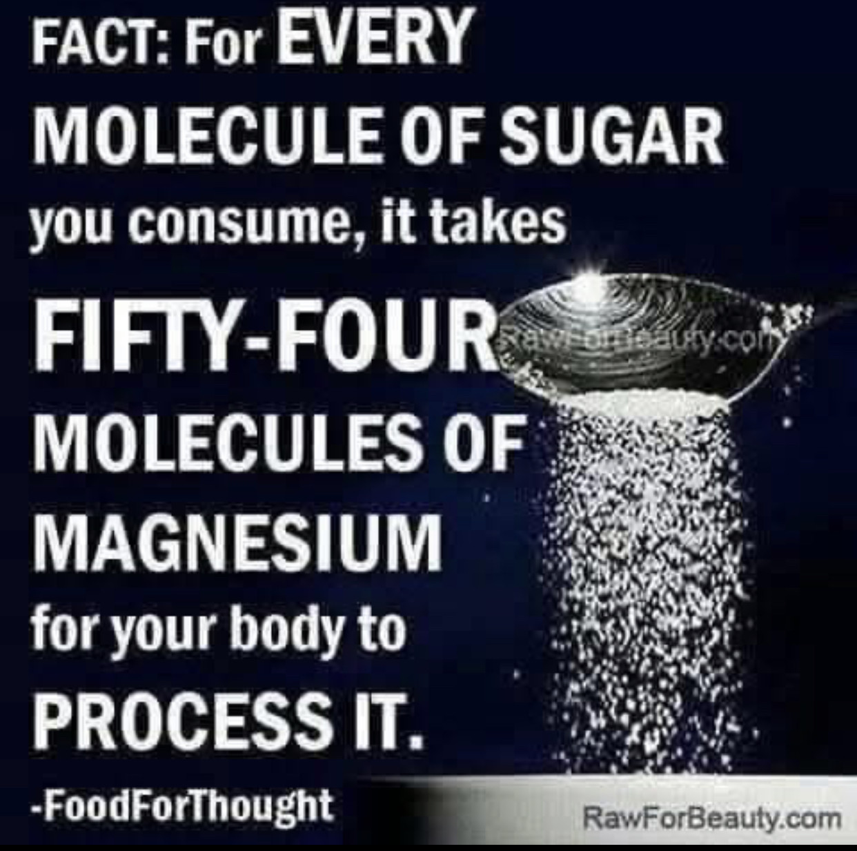 Magnificent Magnesium 