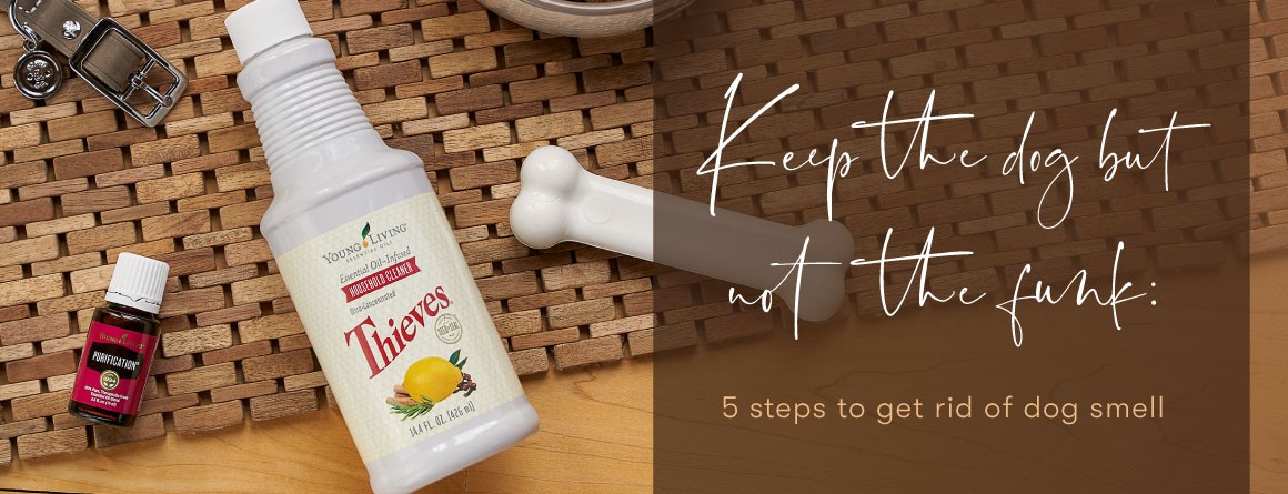 🐾 Keep the Dog, Skip the Funk: Five Natural Ways to Freshen Your Home🐾