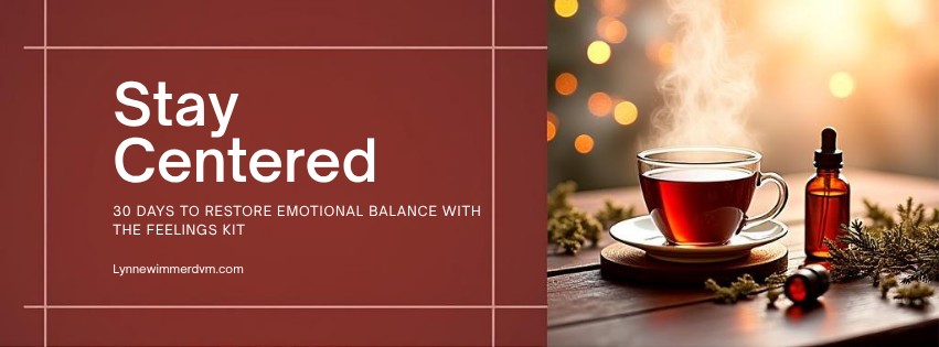 Stay Centered During the Holiday Hustle: 30 Days to Restore Emotional Balance