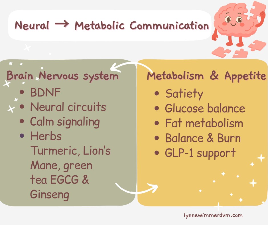 A Natural Segue: When Herbs and the Balance & Burn System Work Side by Side