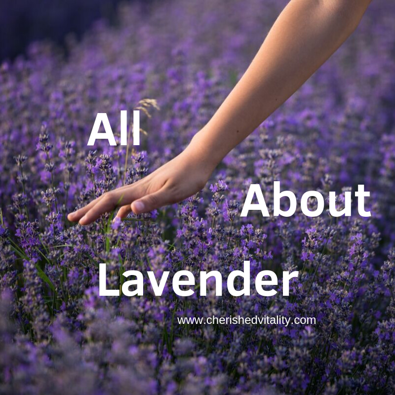 All About Lavender