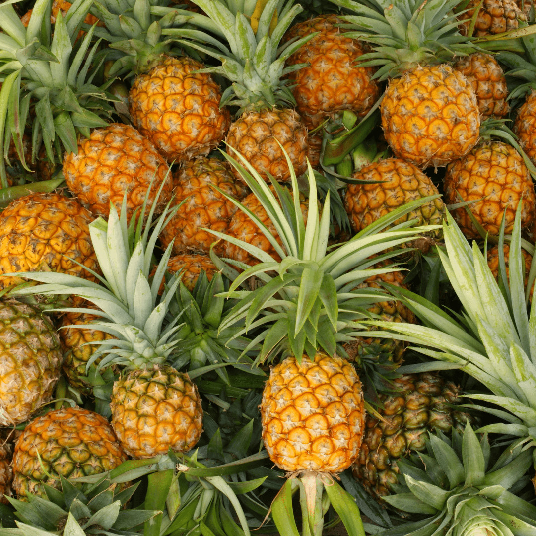 The Fascinating Journey of Pineapples 